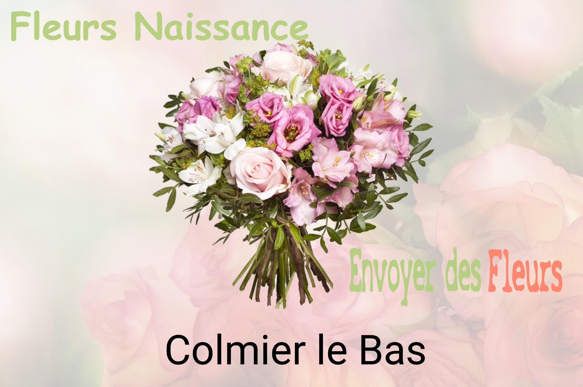 Bouquet de fleurs de naissance livré à Colmier-le-Bas